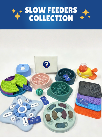 Slow Feeders Collection
