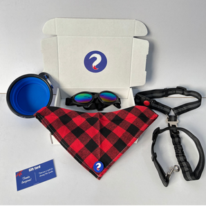 Spark Outing Box