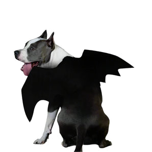 Halloween Dog Witch Wings