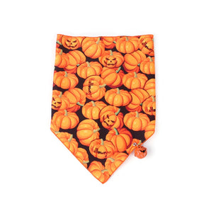 Pet Halloween Scary Pumpkin